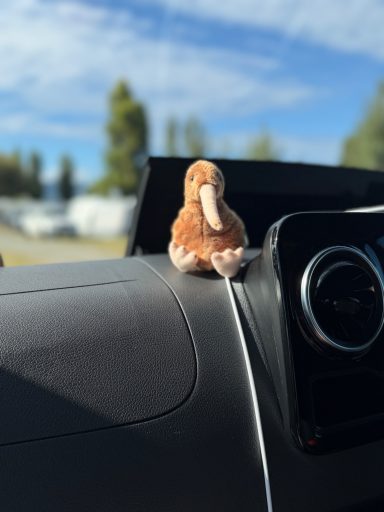 Every road trip needs a mascot